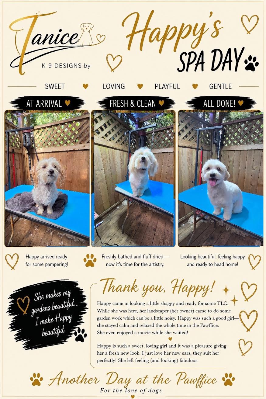 K9 Designs by Tanice photo