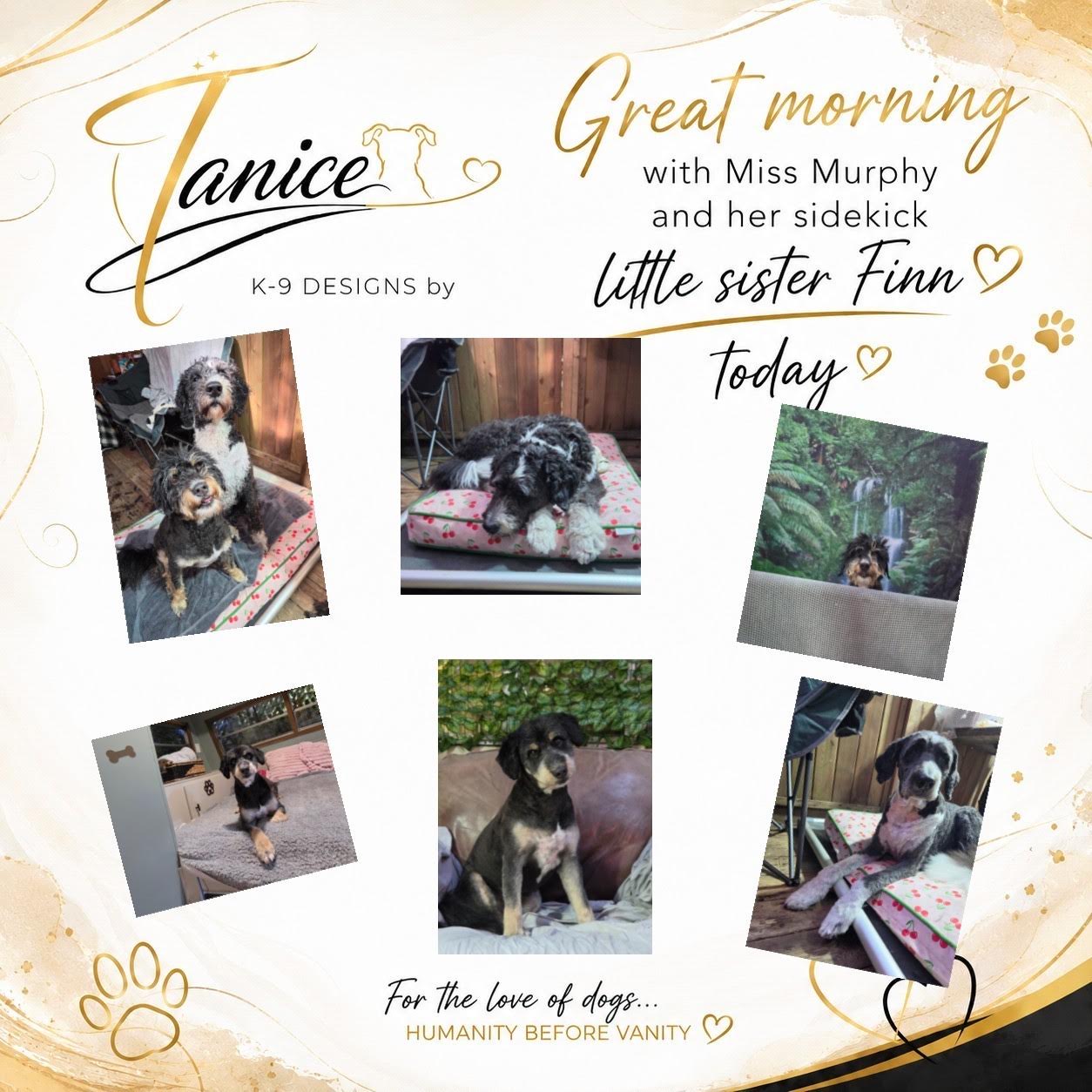 K9 Designs by Tanice photo