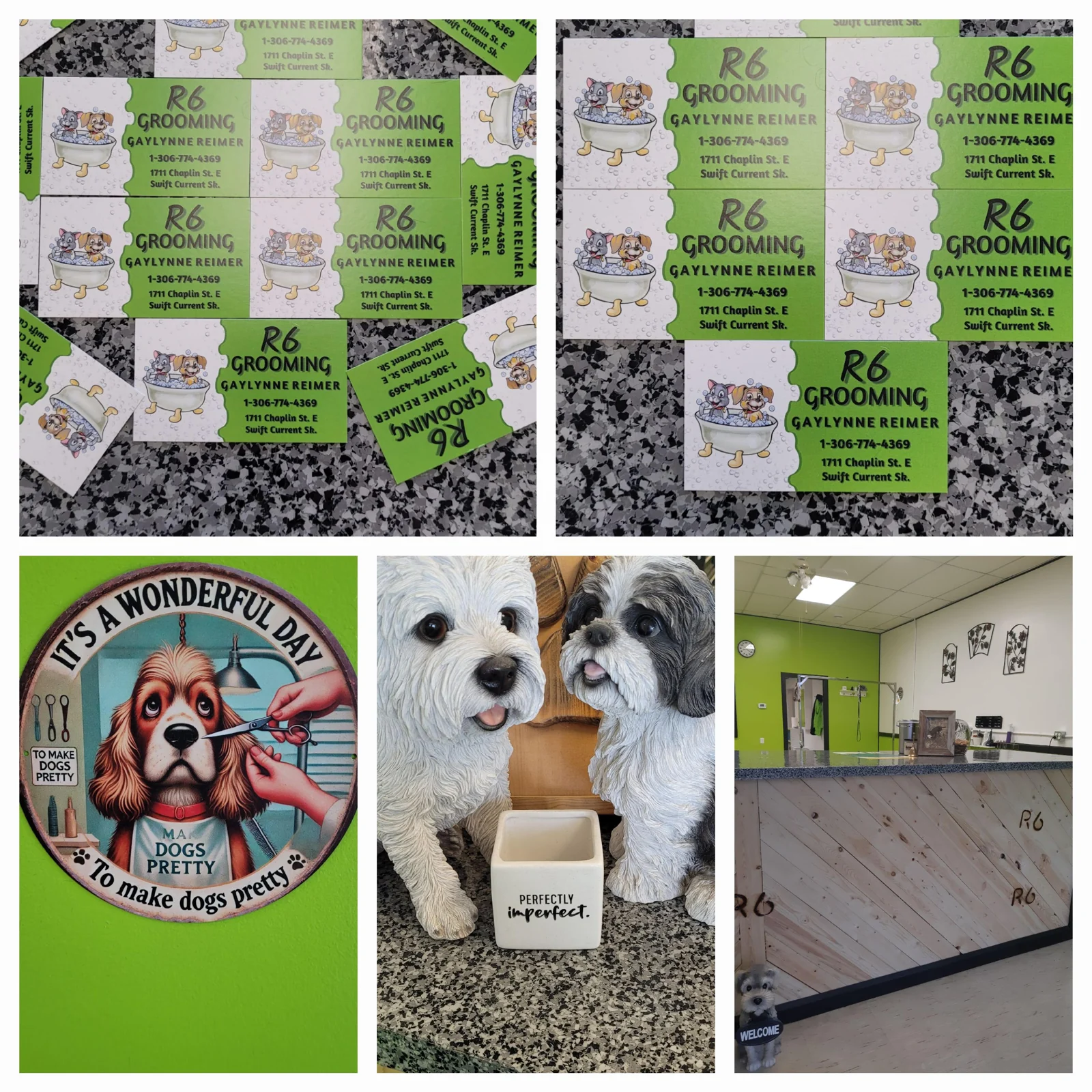 R6 Grooming dog grooming listing photo